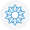 花粉